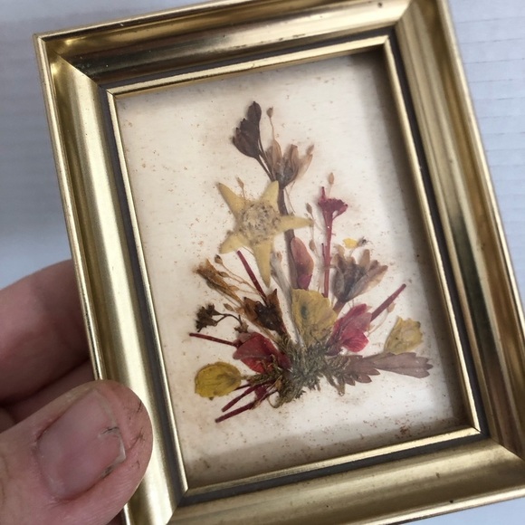 Vintage Other - Vtg Pressed Floral Art in Gold Frame